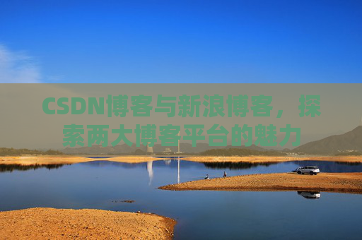 CSDN博客与新浪博客，探索两大博客平台的魅力